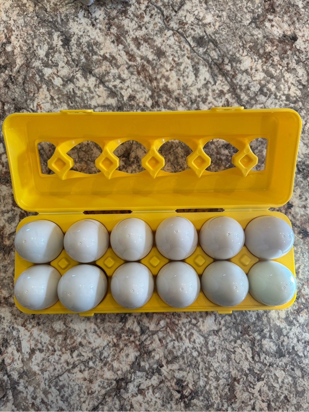 Yellow Egg Storage Container with White Eggs - 12-Count
